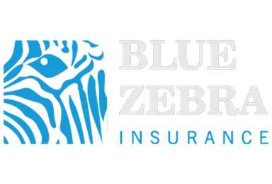Blue Zebra Insurance logo